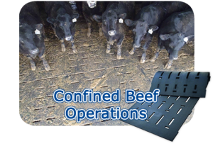 Kraiburg Confined Beef Operations