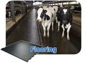 Kraiburg Flooring