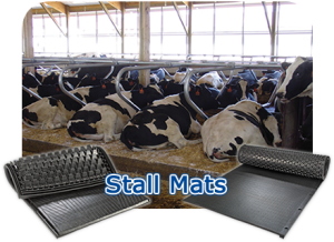 comfort stall mats