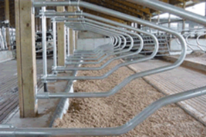 Pack Mat Sold by Wille Construction